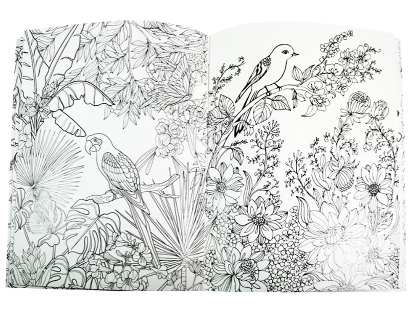 Kit Criativo "Calm and Peace – Colouring Birds" + Estojo TOTTO | Bloco de Desenho | Lápis de Cor FABER-CATELL | Acessórios para desenhar