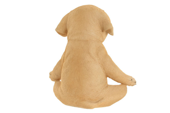 Conjunto Decorativo - Cão Zen em Meditação | com Vela Relaxante | Disponível em 3 modelos